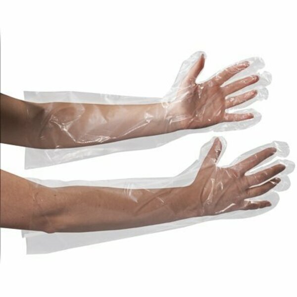 Bsc Preferred Nitrile Disposable Gloves, One Size Fits Most, 250 PK, Clear S-13461